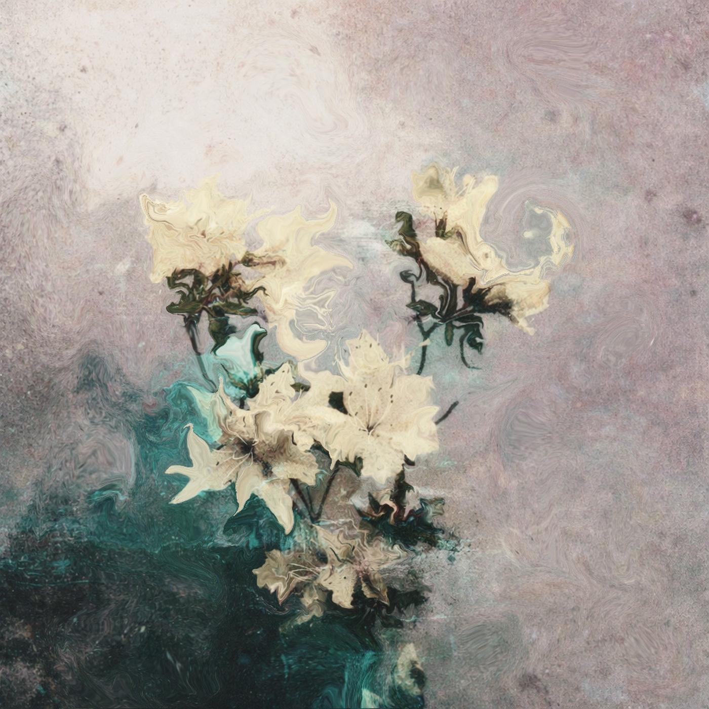 Nomulima 1st EP cover art
